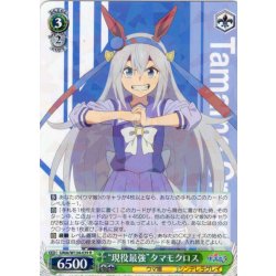 画像1: “現役最強”タマモクロス[WS_UMA/W134-039R]