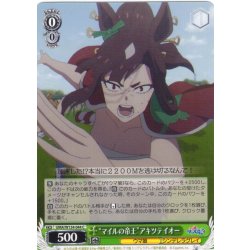 画像1: “マイルの帝王”アキツテイオー[WS_UMA/W134-044C]