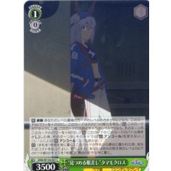 画像1: “見つめる眼差し”タマモクロス[WS_UMA/W134-047C]