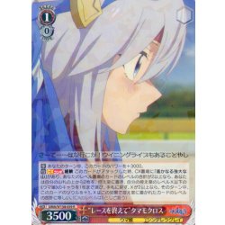 画像1: “レースを終えて”タマモクロス[WS_UMA/W134-059R]