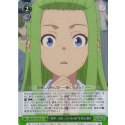 画像1: 【SR仕様(U)】“世界一分かっているのは”小宮山 勝美[WS_UMA/W134-050S]