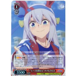 画像1: 【SR仕様(R)】“レースを終えて”タマモクロス[WS_UMA/W134-059S]