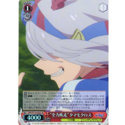 画像1: 【SR仕様(C)】“全力疾走”タマモクロス[WS_UMA/W134-065S]