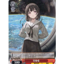 画像1: 常盤愛[WS_VRG/WE52-06R]