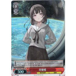 画像1: 【H仕様(R)】常盤愛[WS_VRG/WE52-06HR]