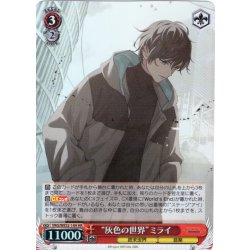 画像1: 【H仕様(R)】“灰色の世界”ミライ[WS_VRG/WE52-14HR]