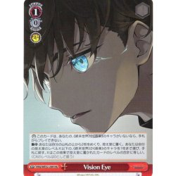 画像1: 【H仕様(U)】Vision Eye[WS_VRG/WE52-29HU]
