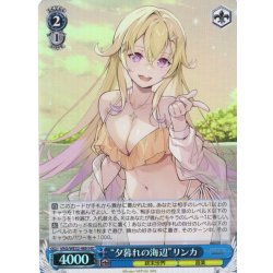 画像1: 【H仕様(U)】“夕暮れの海辺”リンカ[WS_VRG/WE52-48HU]