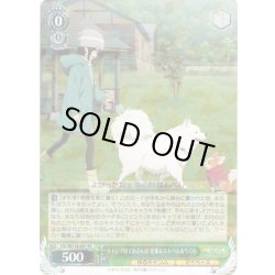 画像1: キャンプ場でおさんぽ 恵那＆はんぺん＆ちくわ[WS_YRC/W116-001RR]