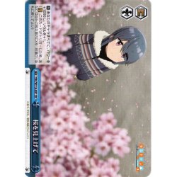 画像1: 桜を見上げて[WS_YRC/W116-097CR]