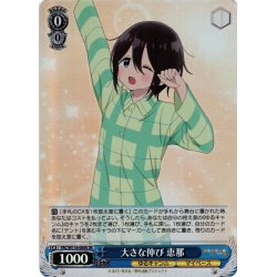 画像1: 【SR仕様(R)】大きな伸び 恵那[WS_YRC/W116-069S]