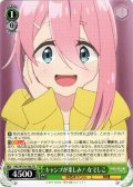 キャンプが楽しみ！ なでしこ[WS_YRC/W116-T06TD]