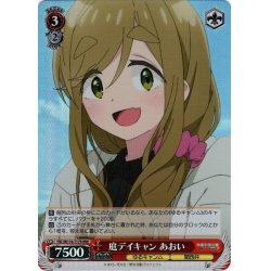 画像1: 【RRR仕様】庭デイキャン あおい[WS_YRC/W116-T17R]