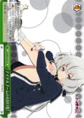 アイドルブームの火付け役[WS_ZLS/W93-043CR]