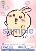 お花見 うさぎ[WSB_CIKW/02B-013N]