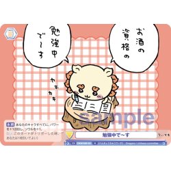 画像1: 勉強中で〜す[WSB_CIKW/02B-021N]