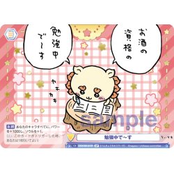 画像1: 【SP仕様(N)】勉強中で〜す[WSB_CIKW/02B-021SP]