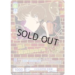 画像1: 【DCR仕様】小さな科学者 灰原哀[WSB_CNN/02E-008DCR]