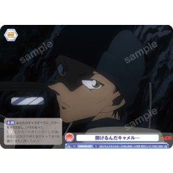 画像1: 開けるんだキャメル…[WSB_CNN/02E-027R]