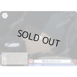 画像1: 開けるんだキャメル…[WSB_CNN/02E-027R]