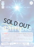 【DYR仕様(R)】氷と雪の魔法 エルサ[WSB_DSY/01B-052D]