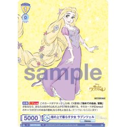 画像1: 塔の上で暮らす少女 ラプンツェル[WSB_DSY/PR-008PR]