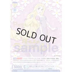 画像1: 【箔押し仕様】塔の上で暮らす少女 ラプンツェル[WSB_DSY/PR-008SPR]