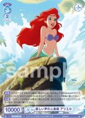 美しい声の人魚姫 アリエル[WSB_DSY/03S-013SD]