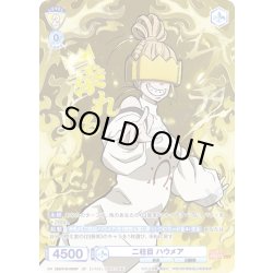 画像1: 【SP仕様(RR)】二柱目 ハウメア[WSB_EES/01B-002SP]