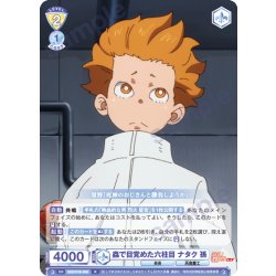 画像1: 蟲で目覚めた六柱目 ナタク 孫[WSB_EES/01B-008R]