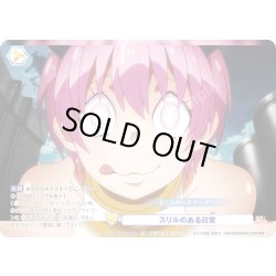 画像1: 【CP仕様(N)】スリルのある日常[WSB_EES/01B-022CP]