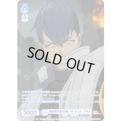 画像1: 【CP仕様(R)】熱音響冷却の使い手 カリム・フラム[WSB_EES/01B-053CP]