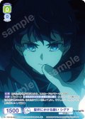 【CP仕様(R)】聖杯にかける願い シグマ[WSB_FSF/01B-005CP]
