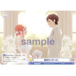 画像1: 運命の人だった。[WSB_HNW/01B-027N]