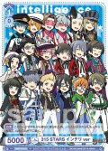 315 STARS インテリver[WSB_ISM/01S-018SD]