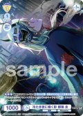 【ISM仕様(N)】冷たき夜に囁く影 都築 圭[WSB_ISM/02B-015ISM]