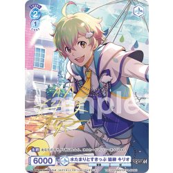 画像1: 【ISM仕様(N)】水たまりとすきっぷ 猫柳 キリオ[WSB_ISM/02B-059ISM]