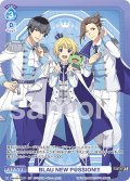 【CP仕様】BLAU NEW P@SSION!!![WSB_ISM/02B-066CP]