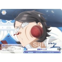 画像1: 顔面キャッチ[WSB_KSJ/01B-067N]