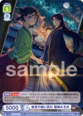 後宮の謎に挑む 猫猫＆壬氏[WSB_KSR/01B-003RR]