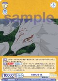 本来の姿 斑[WSB_NTM/01B-003RR]