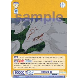 画像1: 本来の姿 斑[WSB_NTM/01B-003RR]