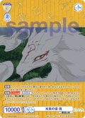 【SP仕様(RR)】本来の姿 斑[WSB_NTM/01B-003SP]