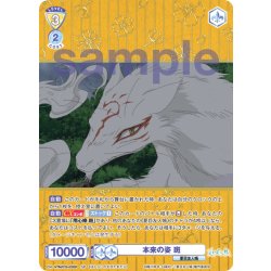 画像1: 【SP仕様(RR)】本来の姿 斑[WSB_NTM/01B-003SP]