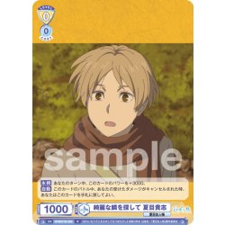 画像1: 綺麗な鱗を探して 夏目貴志[WSB_NTM/01B-005R]