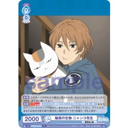 画像1: 魅惑の生物 ニャンコ先生[WSB_NTM/01B-053R]