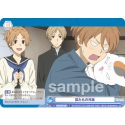 画像1: 似たもの兄妹[WSB_NTM/01B-068N]