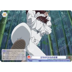 画像1: 立ちはだかる白き闇[WSB_NTMR/01B-043N]