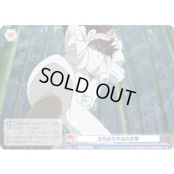 画像1: 立ちはだかる白き闇[WSB_NTMR/01B-043N]