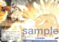 X BURNER[WSB_RBN/01B-021N]